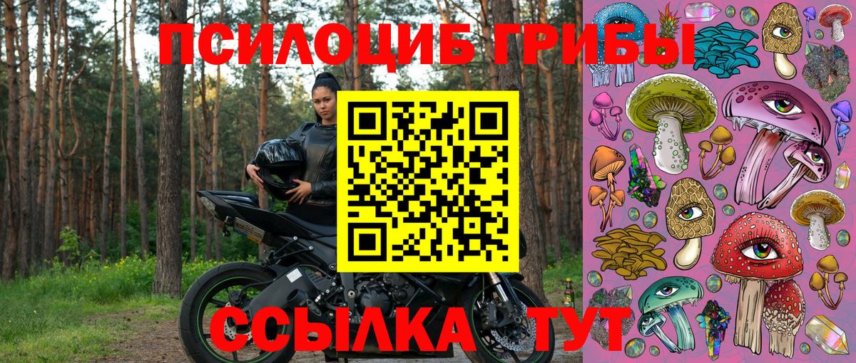 Красноперекопск  купить наркотики цена  Вход с VPN  Псилоцибиновые грибы мухоморы  Псилоцибиновые грибы Psilocybe 