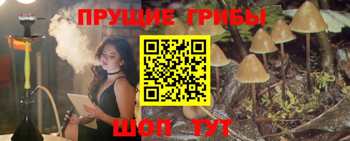Галлюциногенные грибы Cubensis Красноперекопск